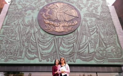 Estrategias de comunicación parlamentaria